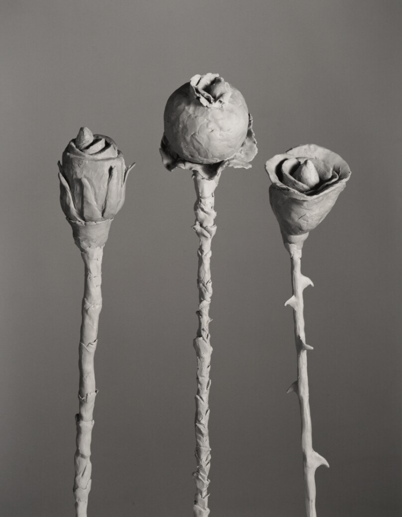 Jo Ann Callis