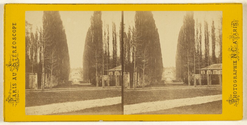 [Avenue at Versailles near Paris]