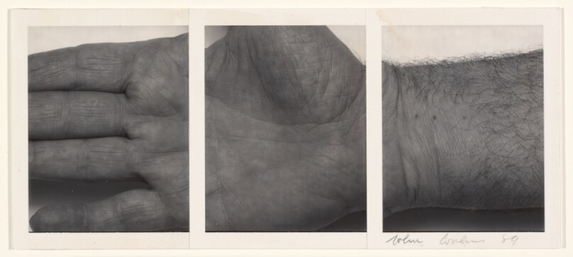 Self-Portrait (Three Panel Hand, Horizontal)