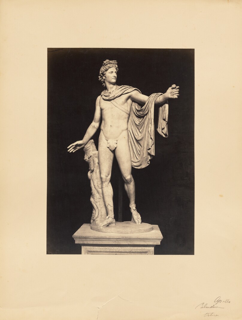 Apollo Belvedere
