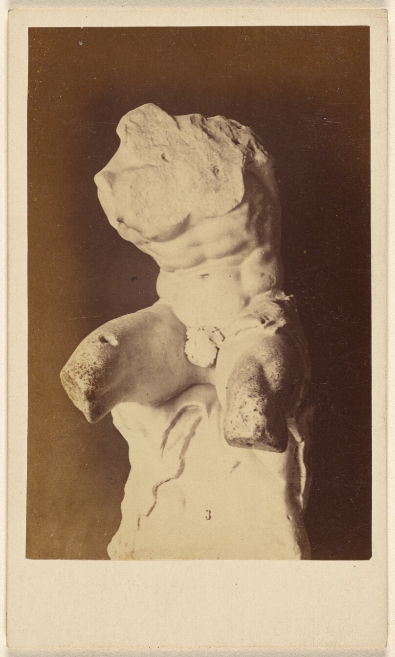 The Celebrated Torso