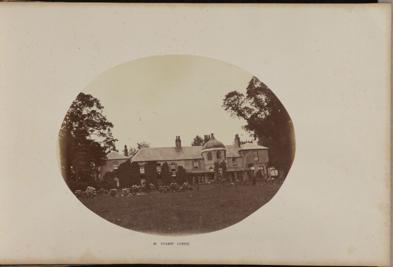 Forest Lodge