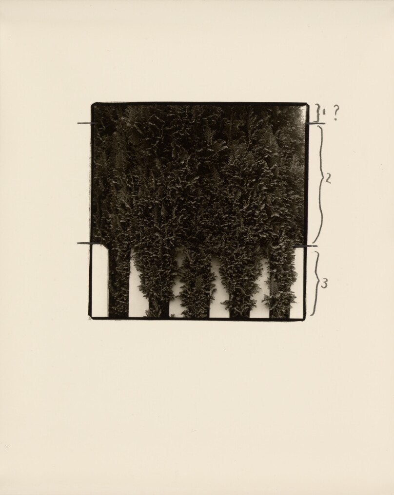 Untitled (Outside the Frame #1)