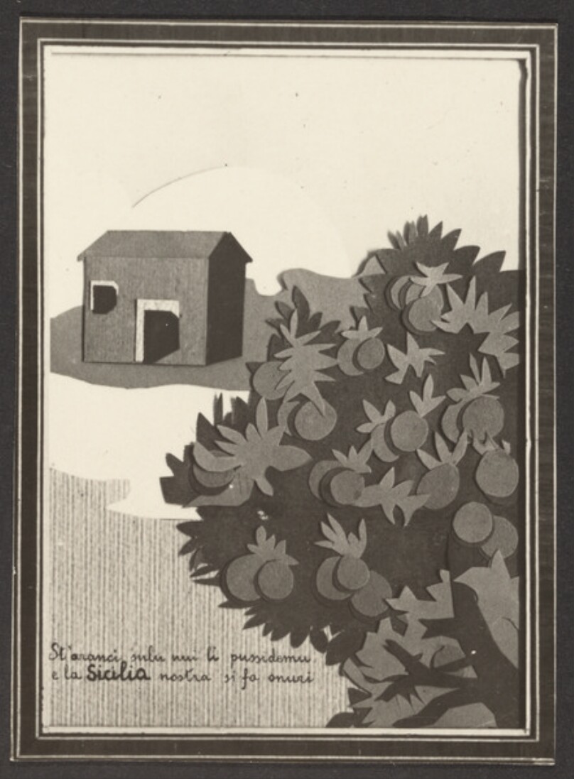 [House and tree collage]