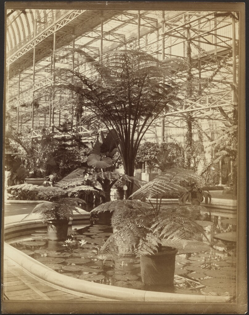 Crystal Palace, Ferns and Water Lilies, Tropical Fountain Basin