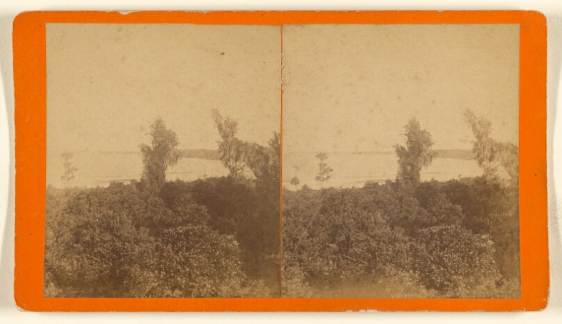 [Lake Harris looking west from Corley Island]