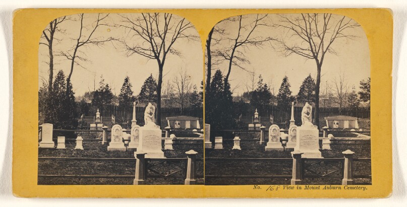 View in Mount Auburn Cemetery. [Boston, Mass.]