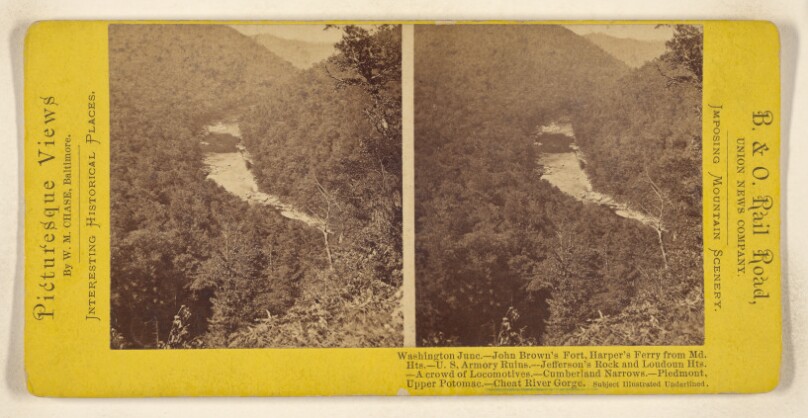 Cheat River Gorge.