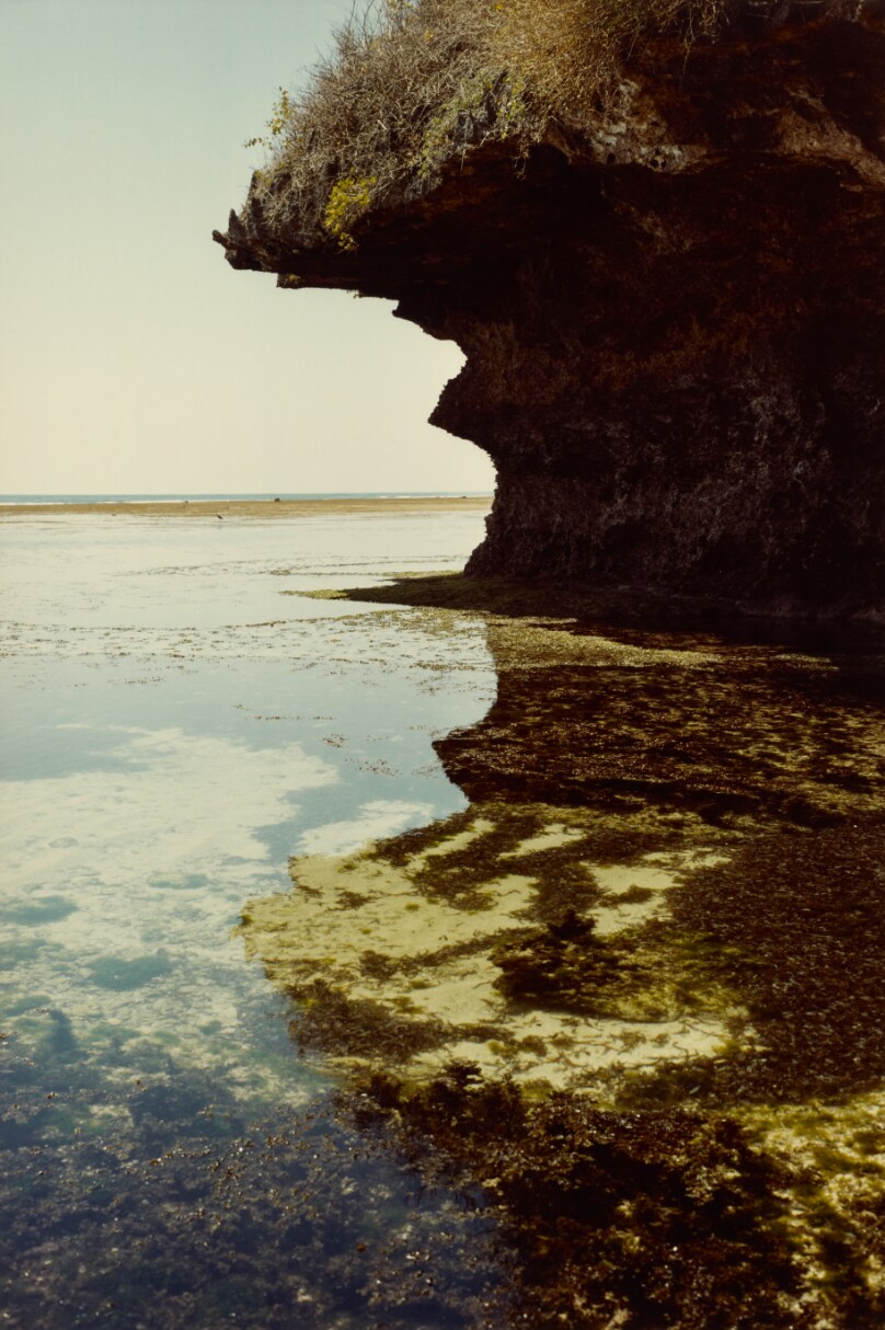 [Seashore with Cliff]