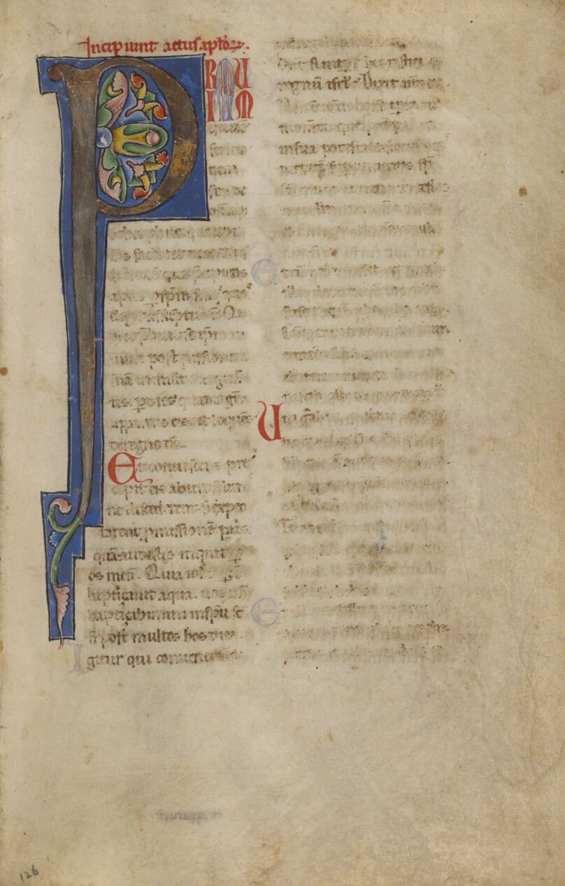 Decorated Initial P