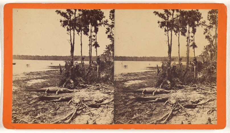 [View on Satilla River]