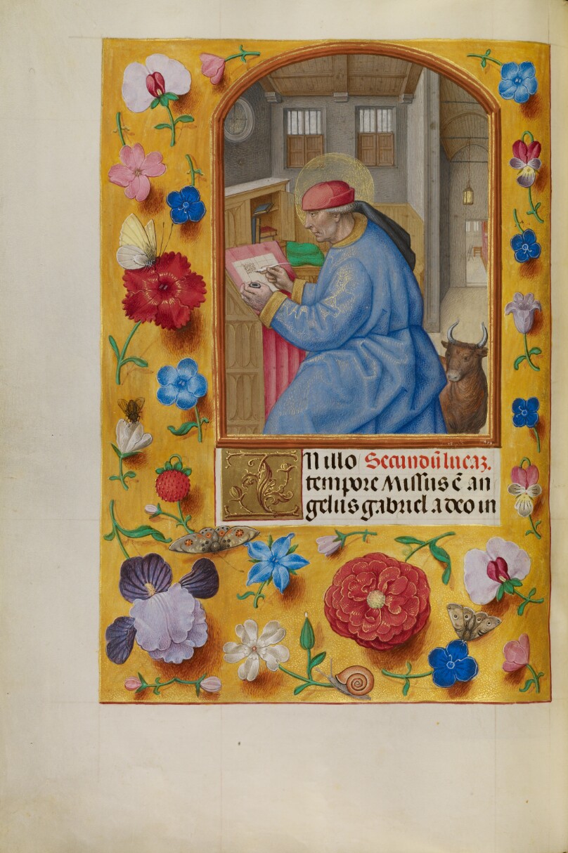 Saint Luke