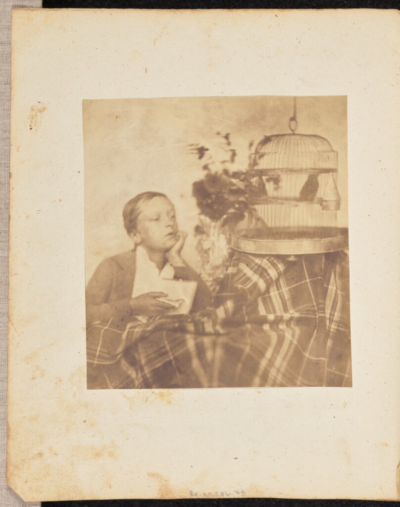 [Portrait of a boy with a birdcage]