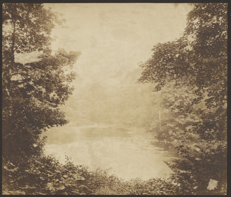 [River View]