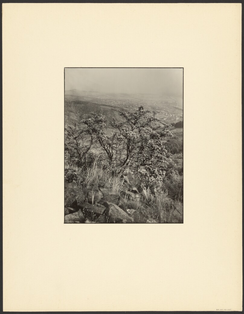 [Untitled] / [Landscape]