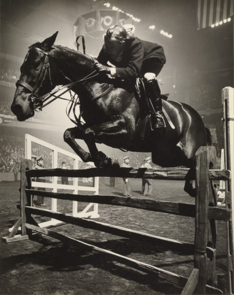 New York City Horse Show