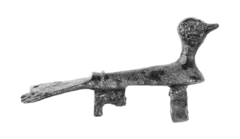 Fragmentary Fibula