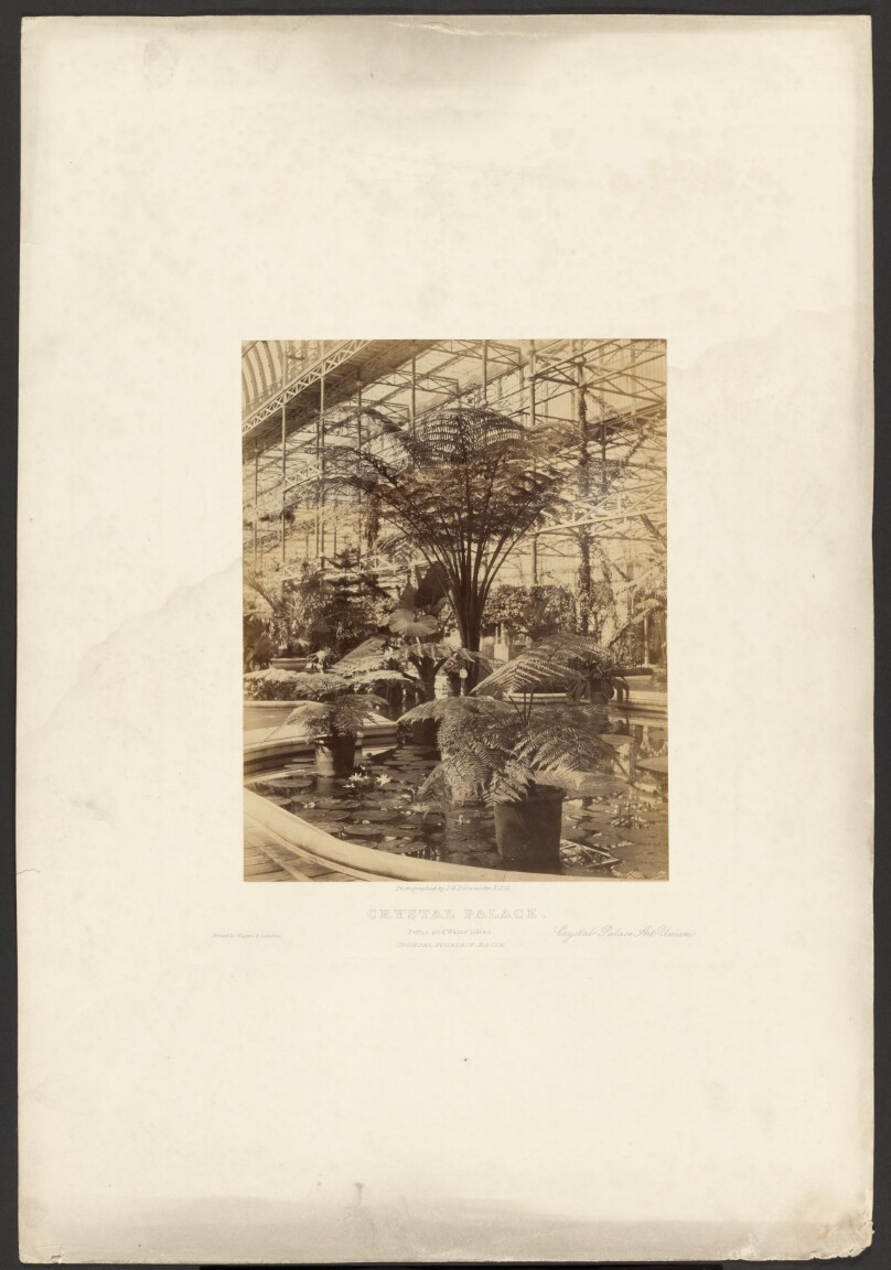 Crystal Palace. Ferns and Water Lilies. Tropical Fountain Basin.