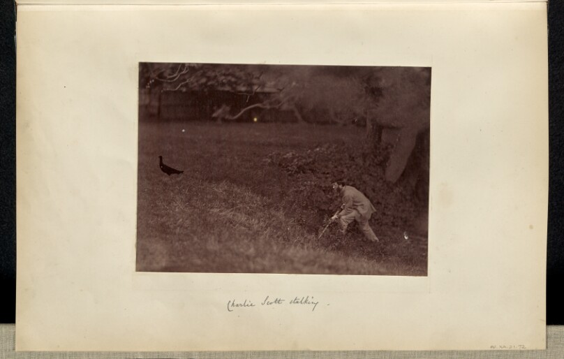 Charlie Scott stalking