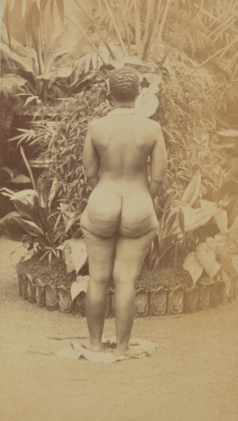 [South African Woman, Nude]
