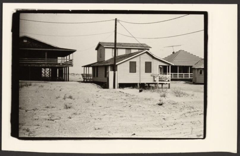 [Beach Houses]