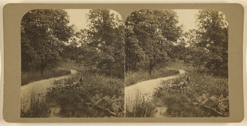 [Newton Highlands Aqueduct]