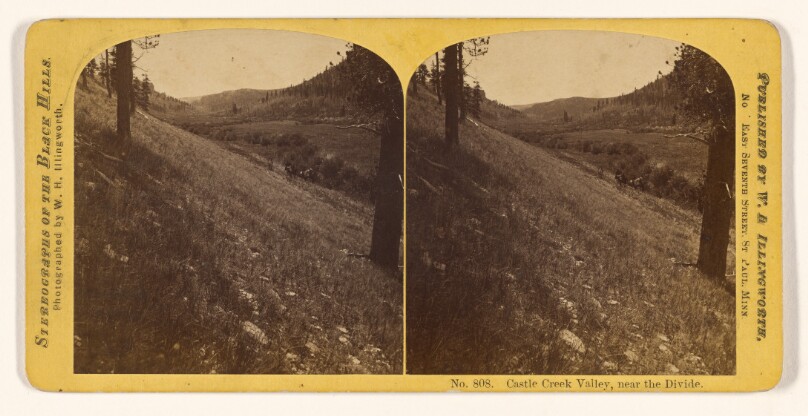 Castle Creek Valley, near the Divide.