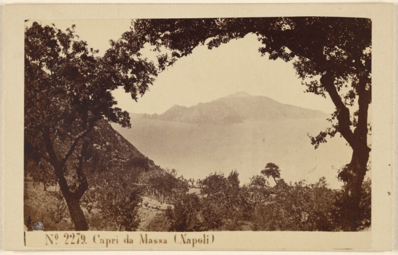 Capri da Massa (Napoli).