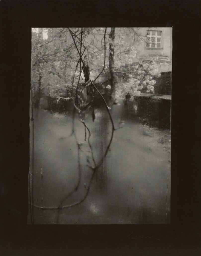 The Window of My Studio