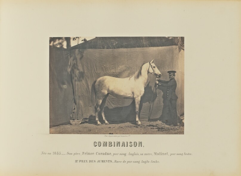 Combinaison