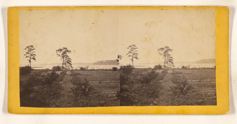 View Looking On To The River, Perry Clear Point, Port Royal Island, S.C.