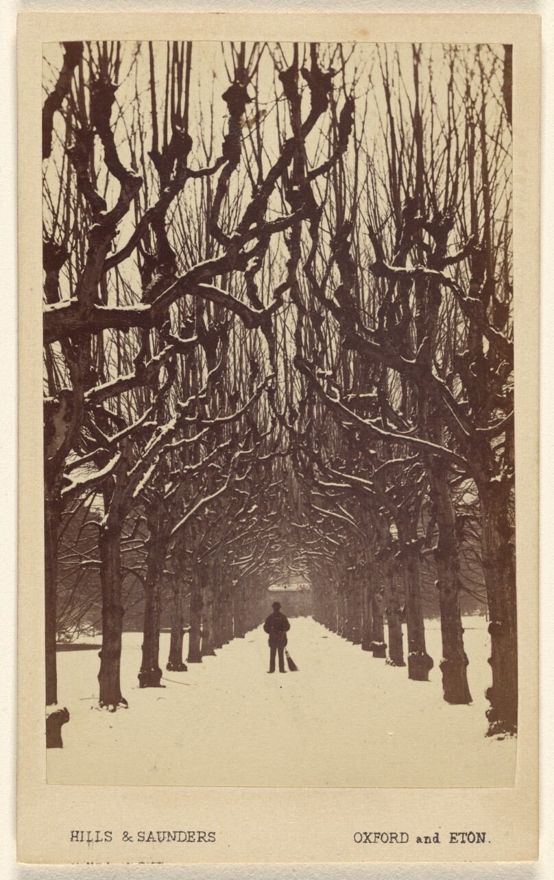 Lime Avenue, Trinity College in Winter.