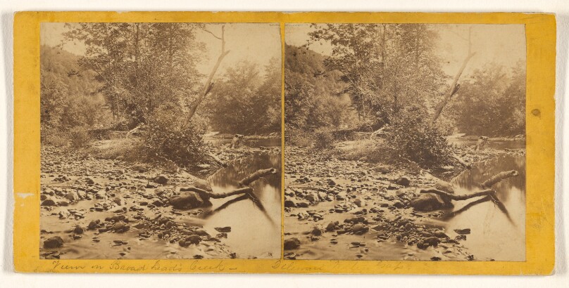 View on Broadhead's Creek.