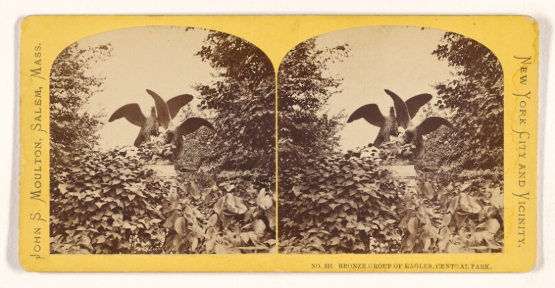Bronze Group of Eagles, Central Park. [N.Y.]