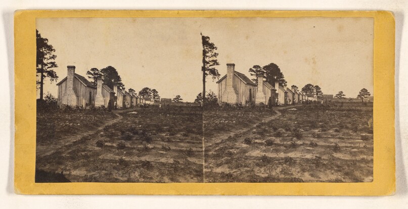 Street and Negro Quarters, Perry Clear Point, Port Royal Island, S.C.