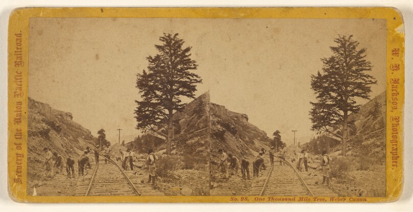 One Thousand Mile Tree, Weber Canon