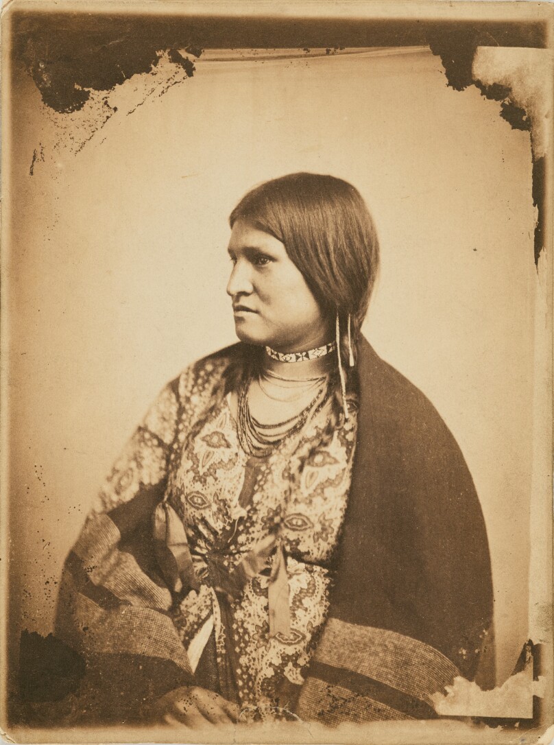 Portrait of a Dakota Sitter