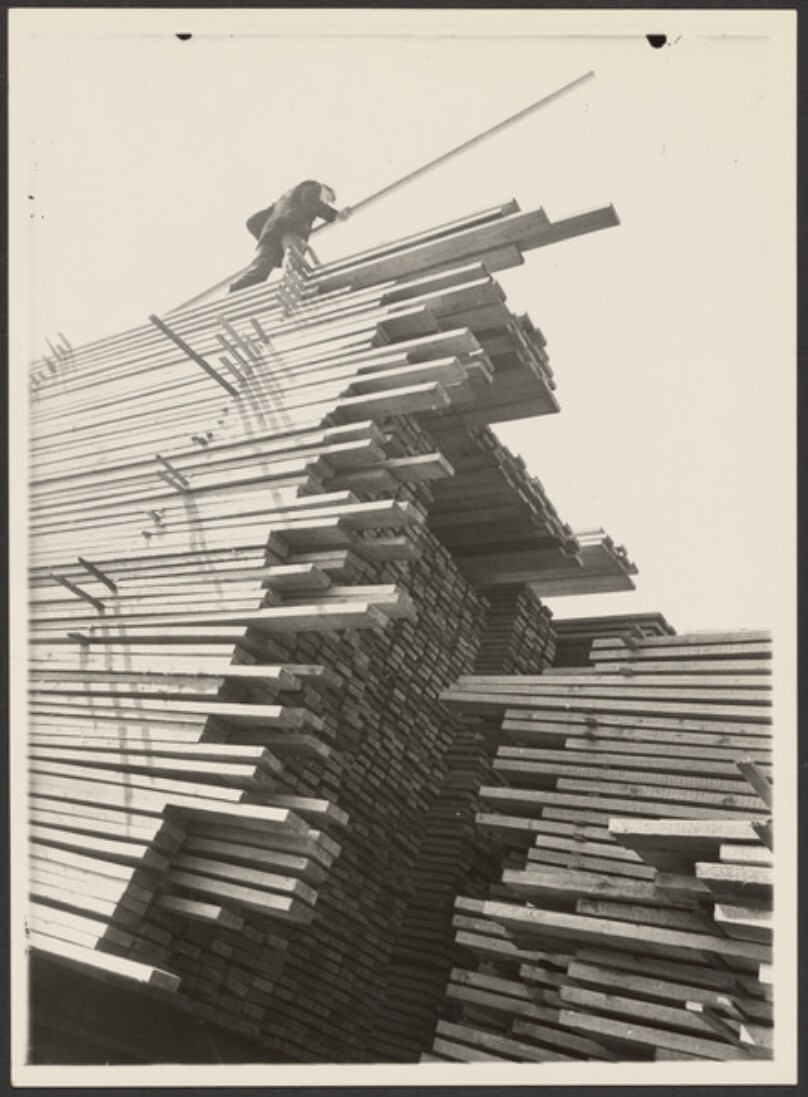 [Man Standing on a Stack of Lumber]