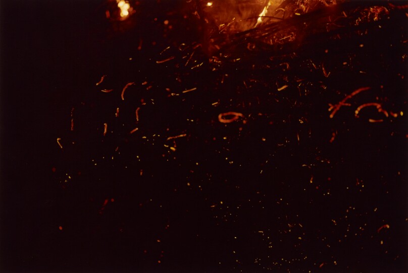 [Burning Undergrowth]