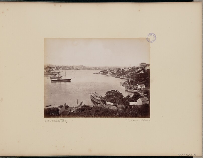 Lavender Bay