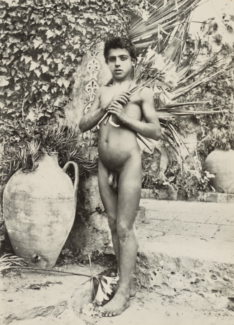 [Boy in garden]