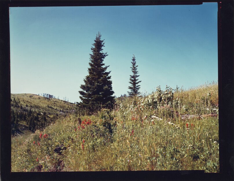 Bozeman, Montana, 1982