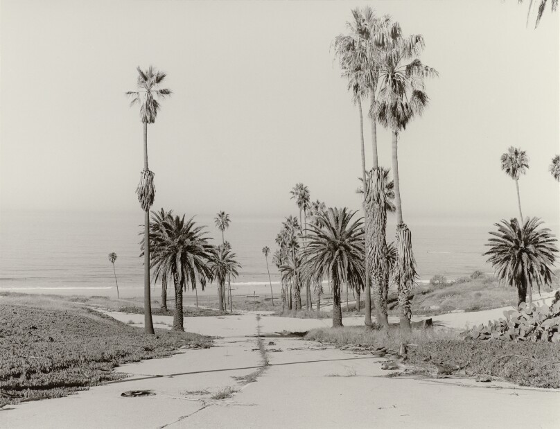 El Segundo Dunes #1