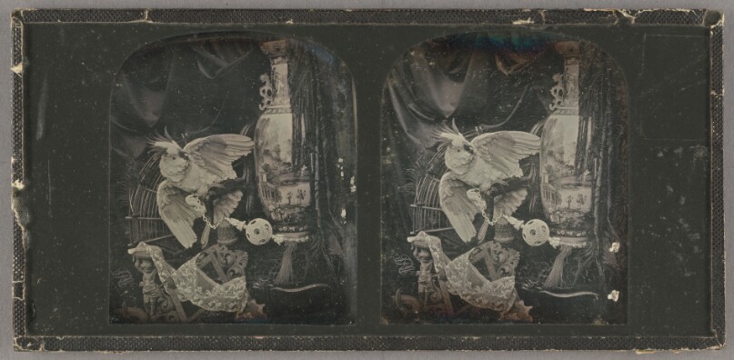 [Still life with parrot, large vase, and objet d'art]