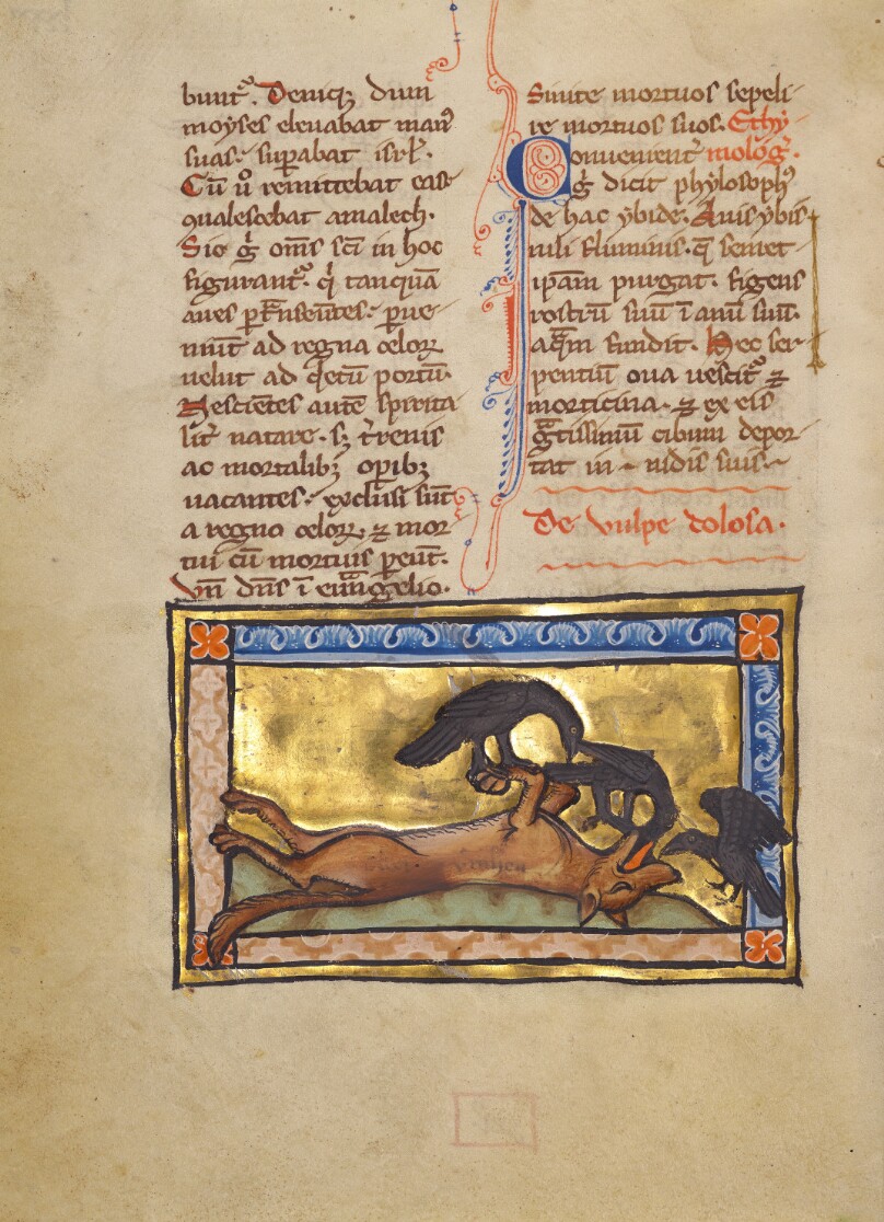 A Bird on a Dead Wolf