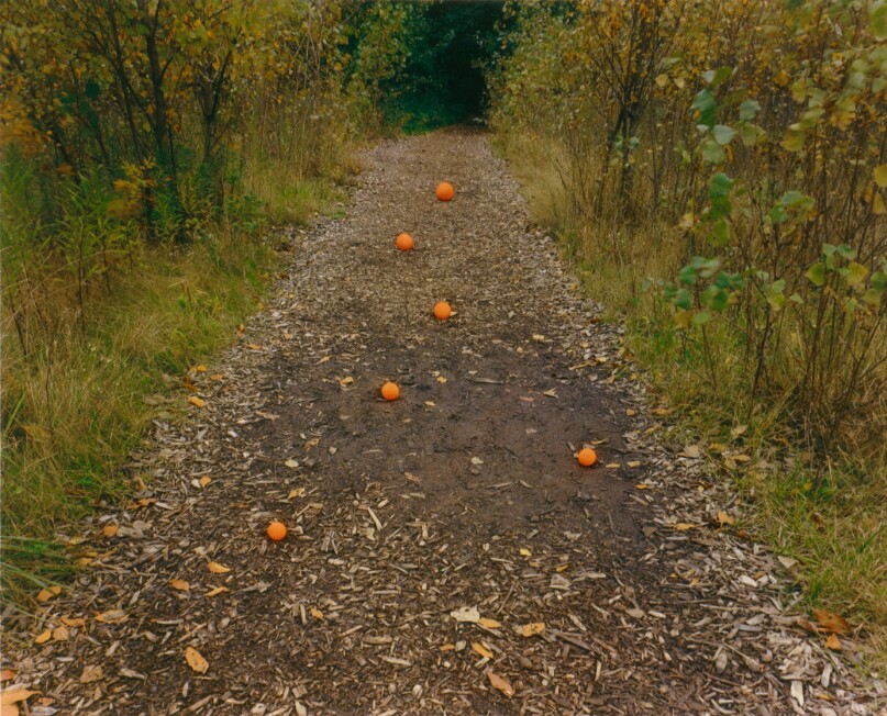 Six Oranges, Buffalo, New York