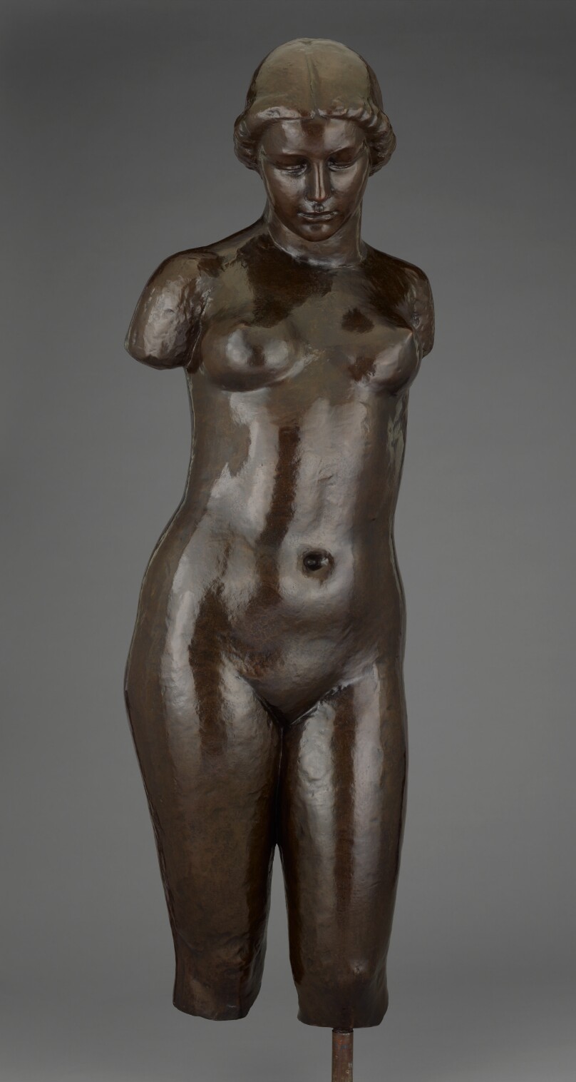 Torse de Dina