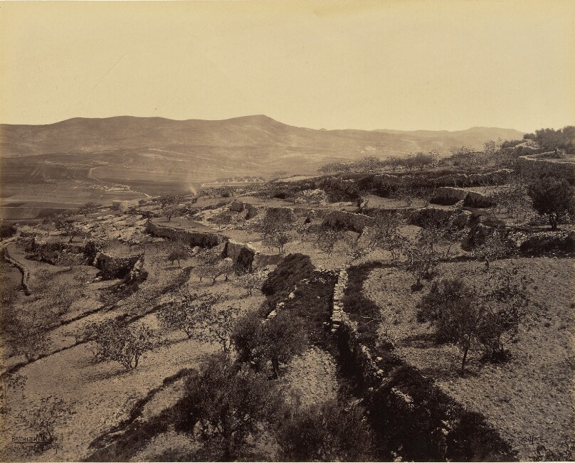 Bethlehem - The Shepherds' Field