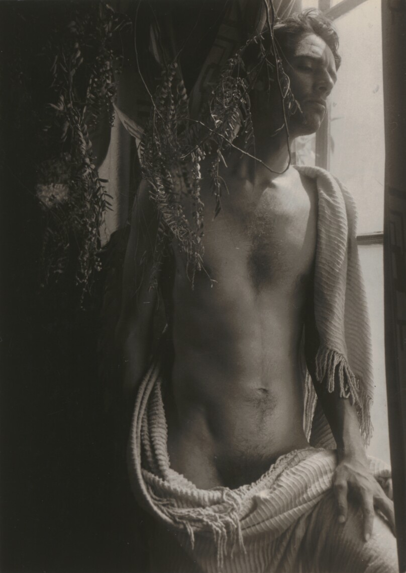 Bill Allard