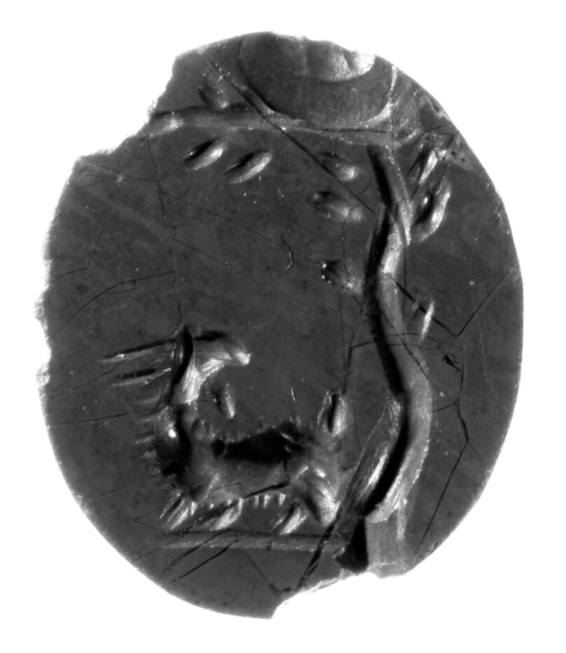 Group of Engraved Gems (8) and a Scarab